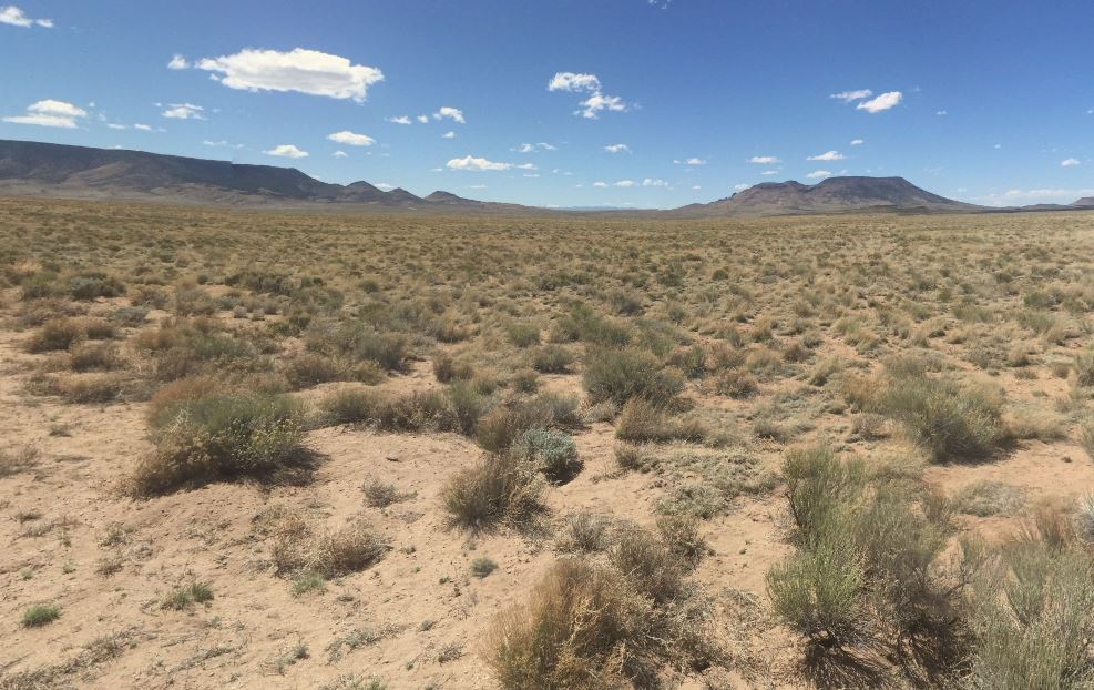 Owner Financing at $179/Mo: More Down Means More Savings on 4.84 Acres in Colorado!